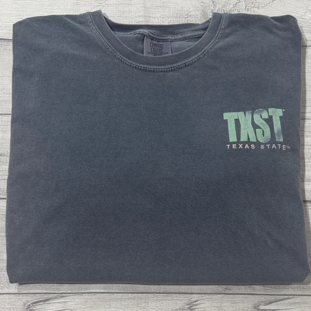 Comfort Colors Gray, Mint & Pink Texas State Tee